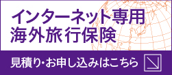 インターネット専用海外保険